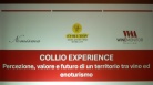 Agricoltura: Zannier, il Friulano esprime l'identità del ...